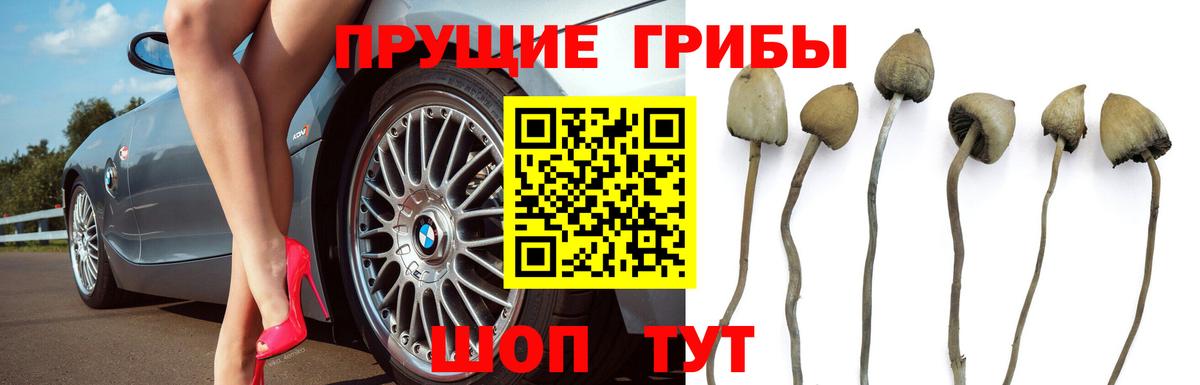 Галлюциногенные грибы ЛСД Ханты-Мансийск